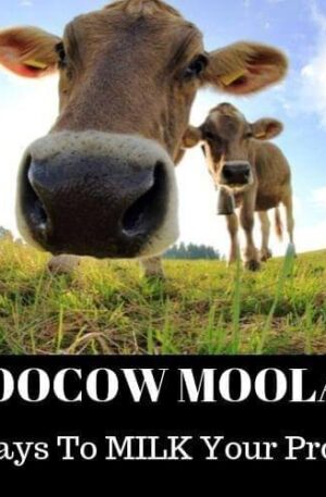 Moocow Moolah